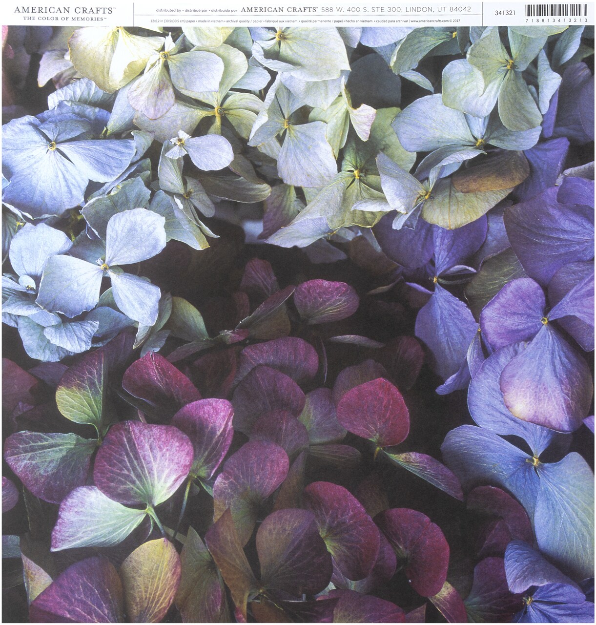 American Crafts Floral Single-Sided Cardstock 12"X12"-Hydrangeas